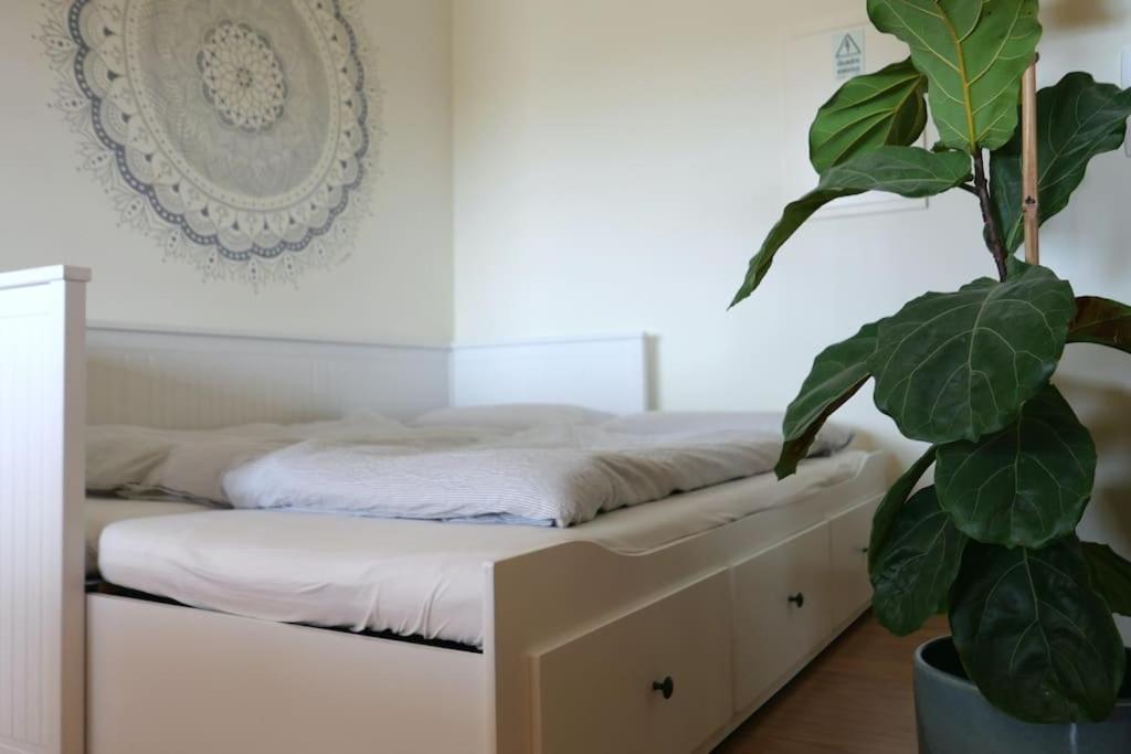 Panorama Apartment Sagres *Pool* Εξωτερικό φωτογραφία