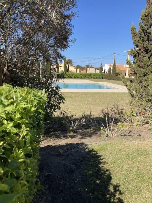 Panorama Apartment Sagres *Pool* Εξωτερικό φωτογραφία