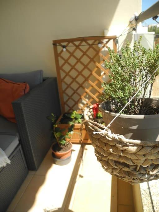 Panorama Apartment Sagres *Pool* Εξωτερικό φωτογραφία